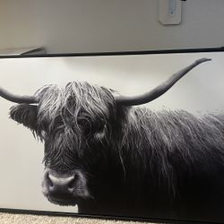 Large B/W Bull/Cow Picture