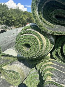 Turf Rolls Used