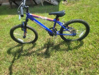 nishiki boys  20'' mountain bike