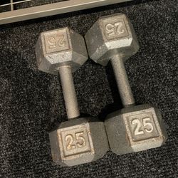 25 Pound Dumbbells