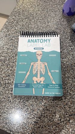 Anatomy Nursing in the Making