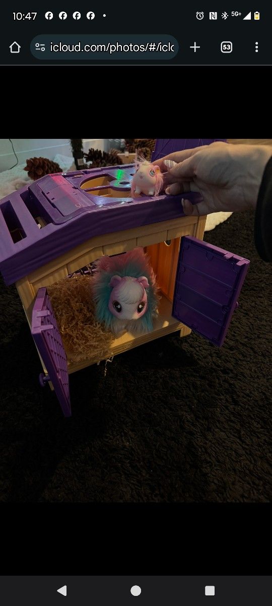 Hamster 🐹 Toy
