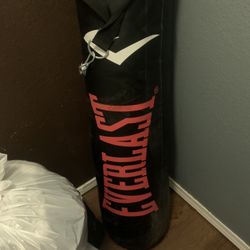 Everlast Bag