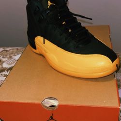 Jordan 12s
