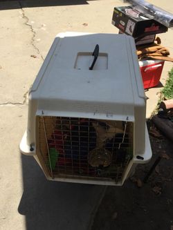 Big dog house + extra