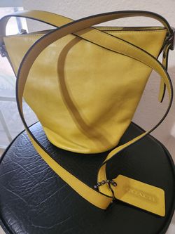 Bolsa Coach