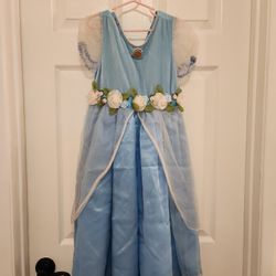Cinderella Dress 7/8