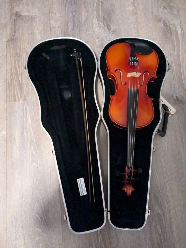 Viola