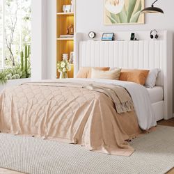 B645 $160  Queen Size Lift Up Storage Bed Frame