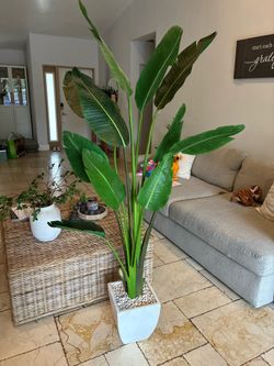 Palm faux plant