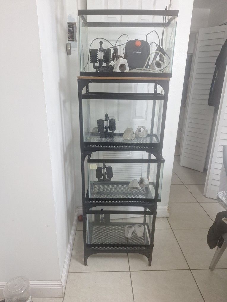 4 Peceras De 10 Gal