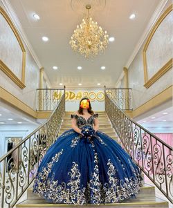 Quince Navy and Gokd dress