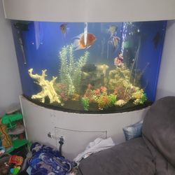 Fish Tank 125 Gallon Aquarium 