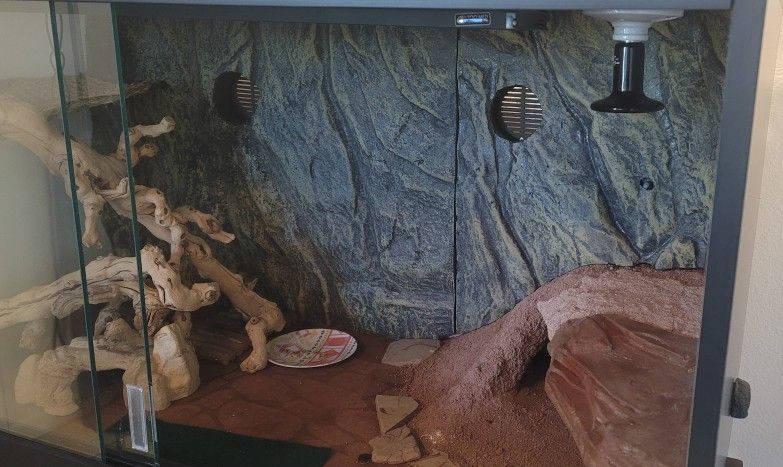 Reptile Habitat With Accessories
