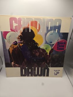 Candida Dawn Knock Three Times Vinyl LP