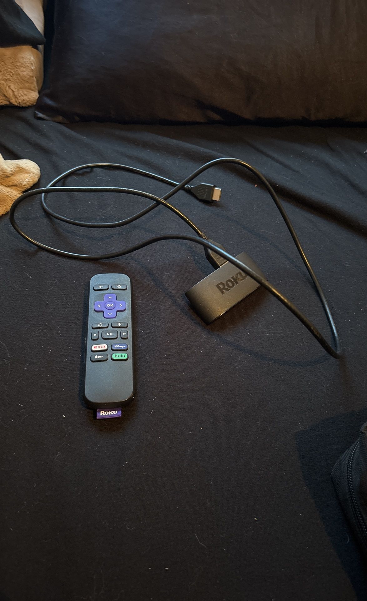 Roku stick