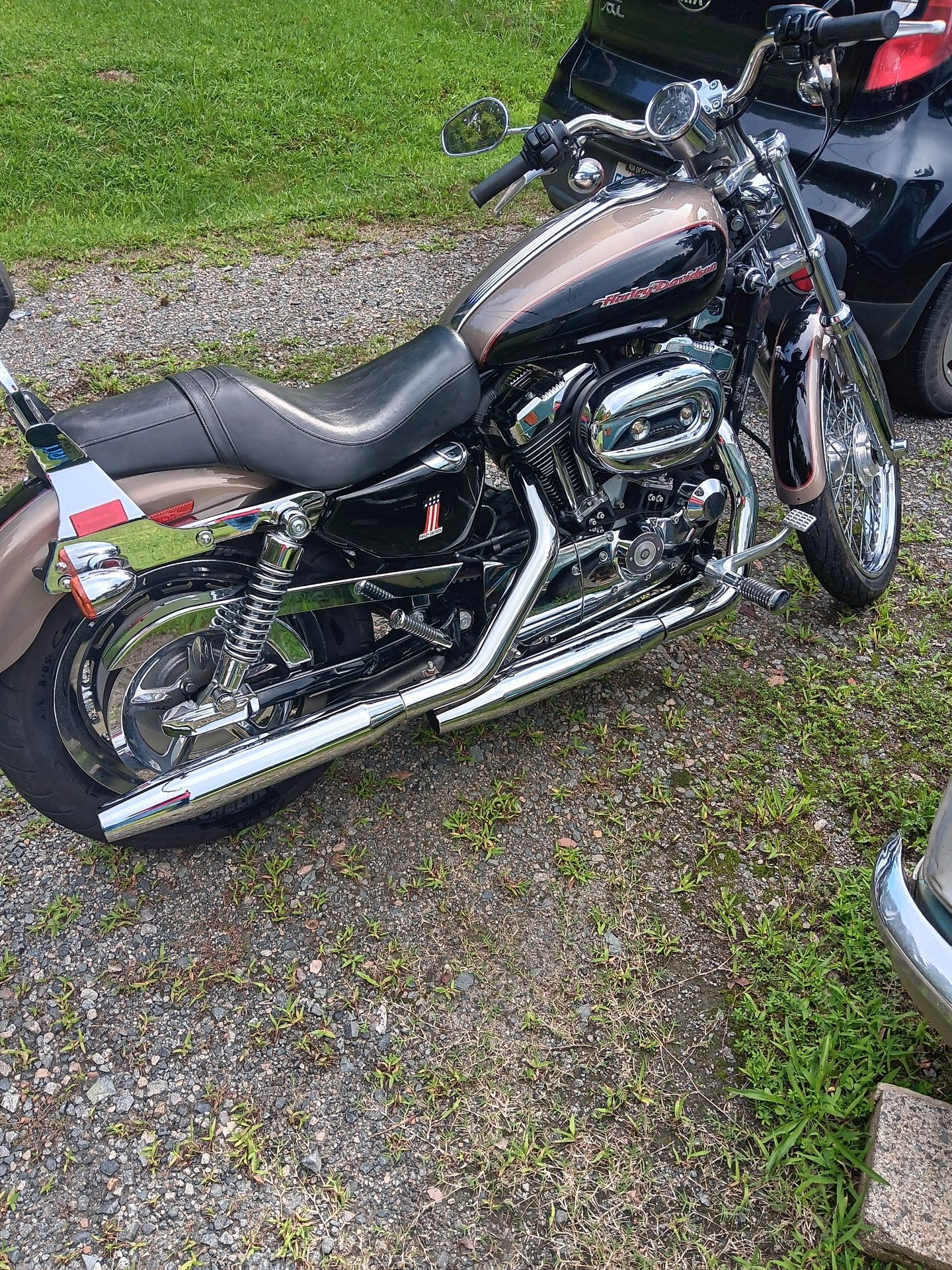 2004 Harley Davidson 1200 custom