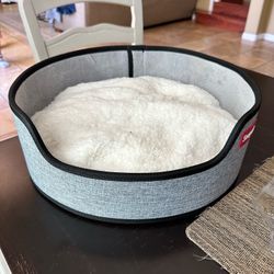 New Dog Bed 