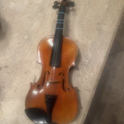 Marrone 5/8 Violín 