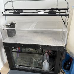 60 Gallon Coral Frag Fish Tank, Lights, Sump, Pump, Heat Etc.