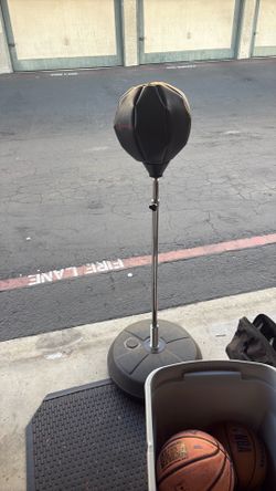 Champ stand boxing