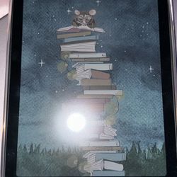 Kindle Colorsoft 16gb No Ads