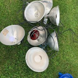 Heating Lamps