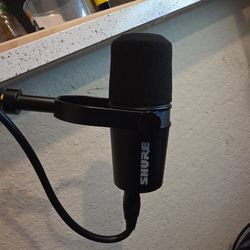 Shure mic