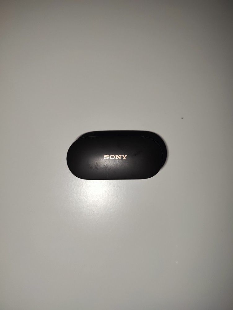 Earbuds