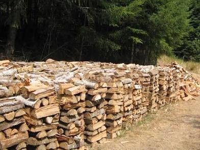 Seasoned Firewood