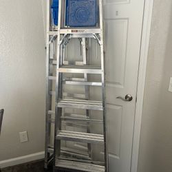 Ladders 6ft 