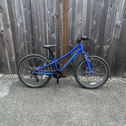 Kids Specialized Hot Rock 24”