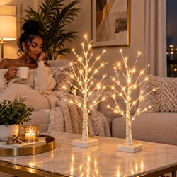 LED Birch Tree Light Set of 2