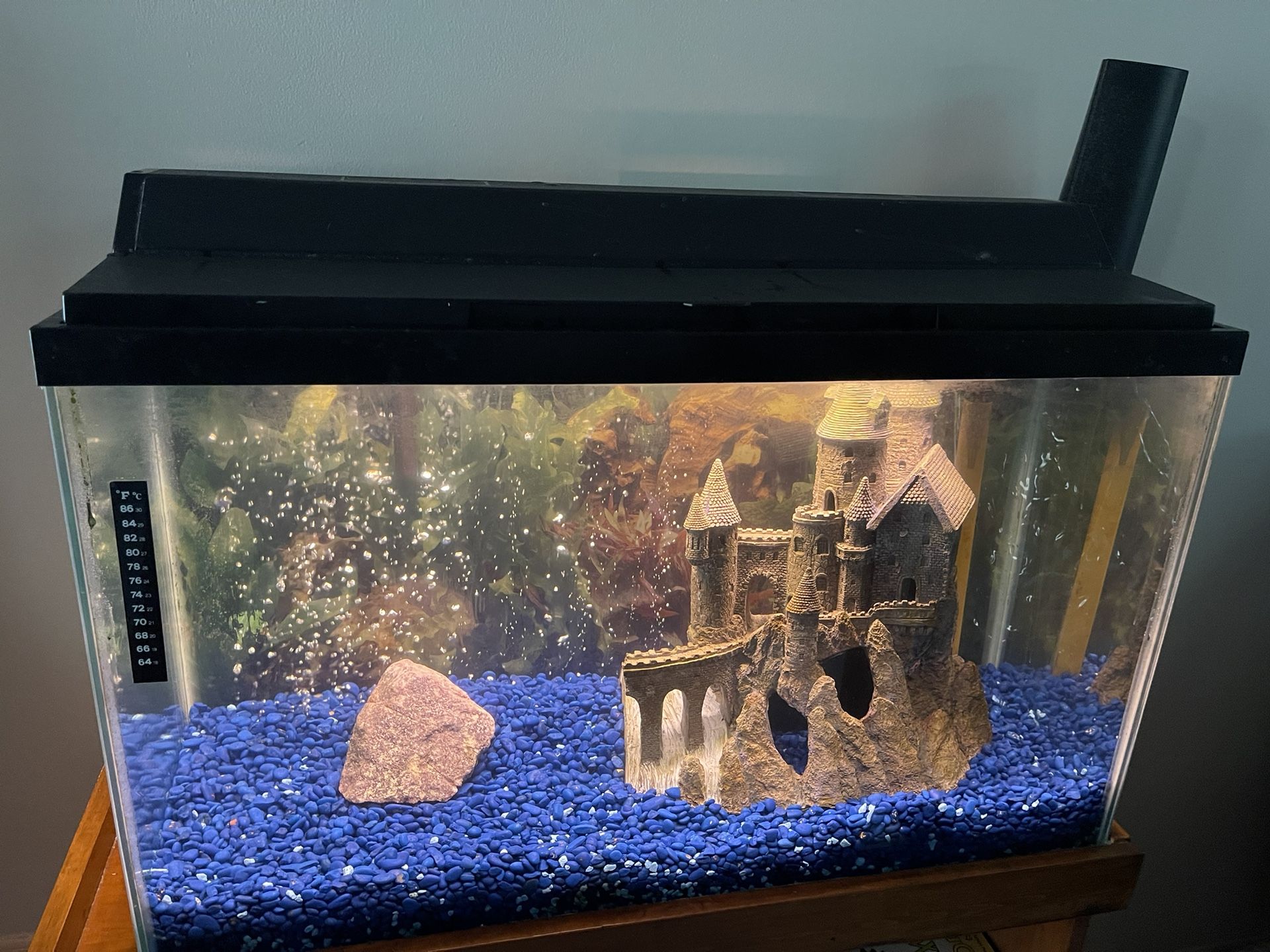 Aquarium Fish Tank 29 Gallons Freshwater