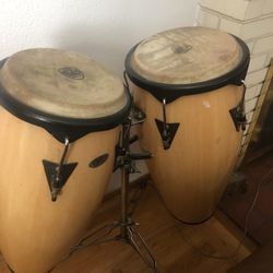 Congos