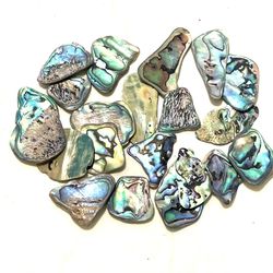 Lit Of Abalone cabochons
