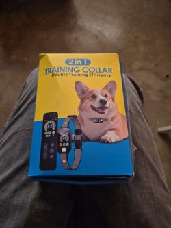 Training Collar For Dogs