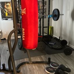 Everlast Punching Bag and Stand (with accessories) 