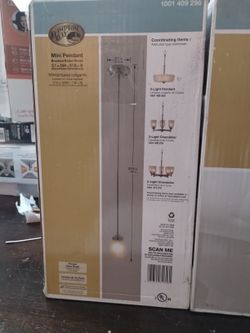 1-Light Brushed Nickel