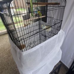 Bird Cage 