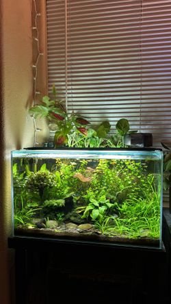 Waterbox 16g Aquarium