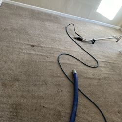 STEAM CARPET