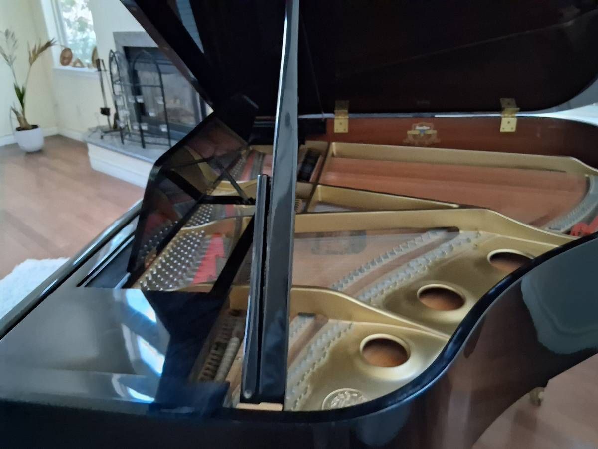 Baby Grand Piano Going For Free 