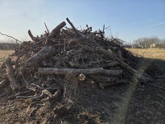 Free wood
