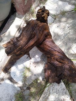 Natural wood for aquariums terrariums decor