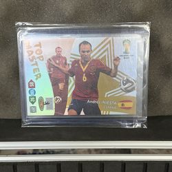World Cup Andres Inesta Soccer Card