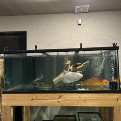 Fish Tank Aquarium Decorations