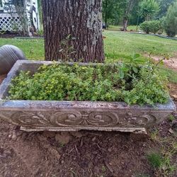 Concrete Flower Pot With Flowers