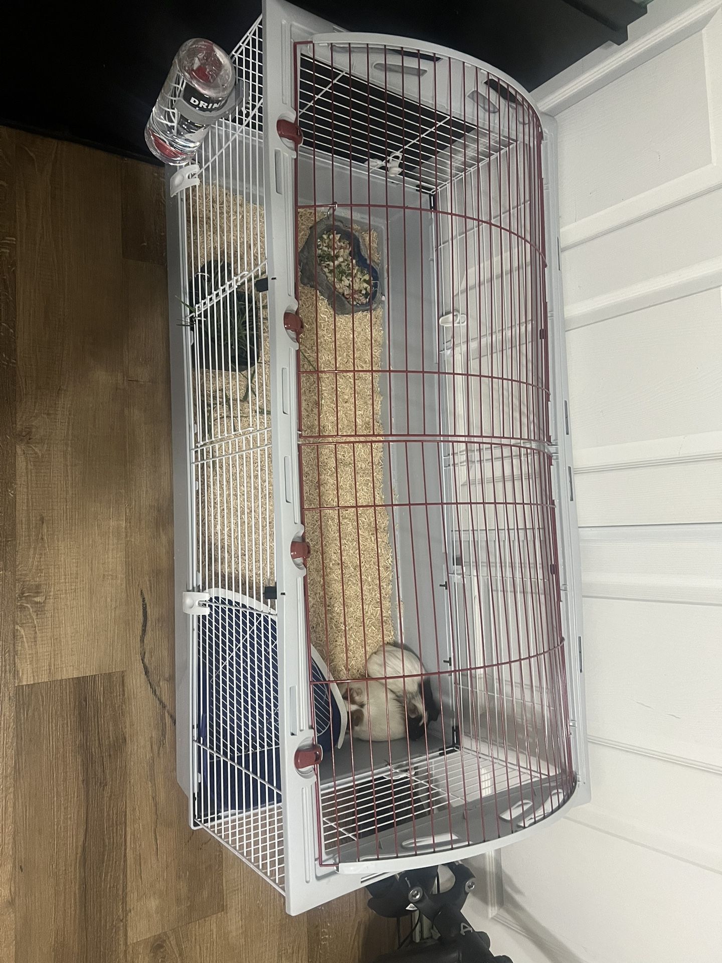 Comes With Everything You See Cage Itself Is 150 And Your Getting Everything You See For 120.