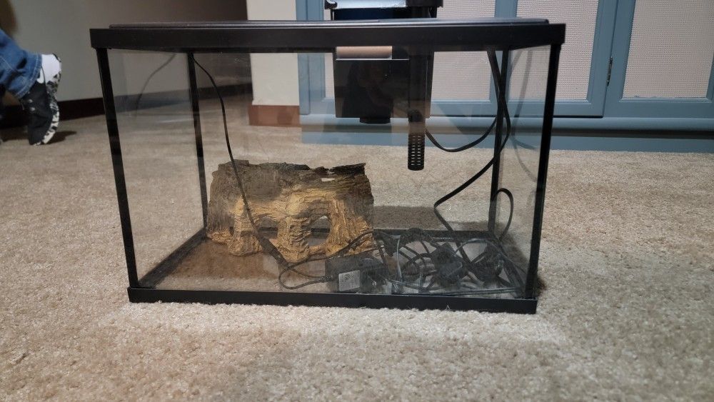 10 Gallon Fish Tank